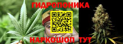 крисы Татарск