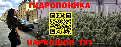 крисы Татарск